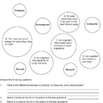 Prairie Food Chains  Webs Producers Consumers  Decomposers  Pdf Along With Producer Consumer Decomposer Worksheet