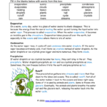 Precipitation  Istituto Bonsignori And The Water Cycle Worksheet Answer Key