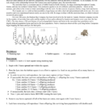 Predatorprey Lab Along With Ecological Relationships Pogil Worksheet Answers
