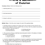 Preschool Worksheets  Outstanding Natural Selection Worksheetswer Also Darwin039S Natural Selection Worksheet