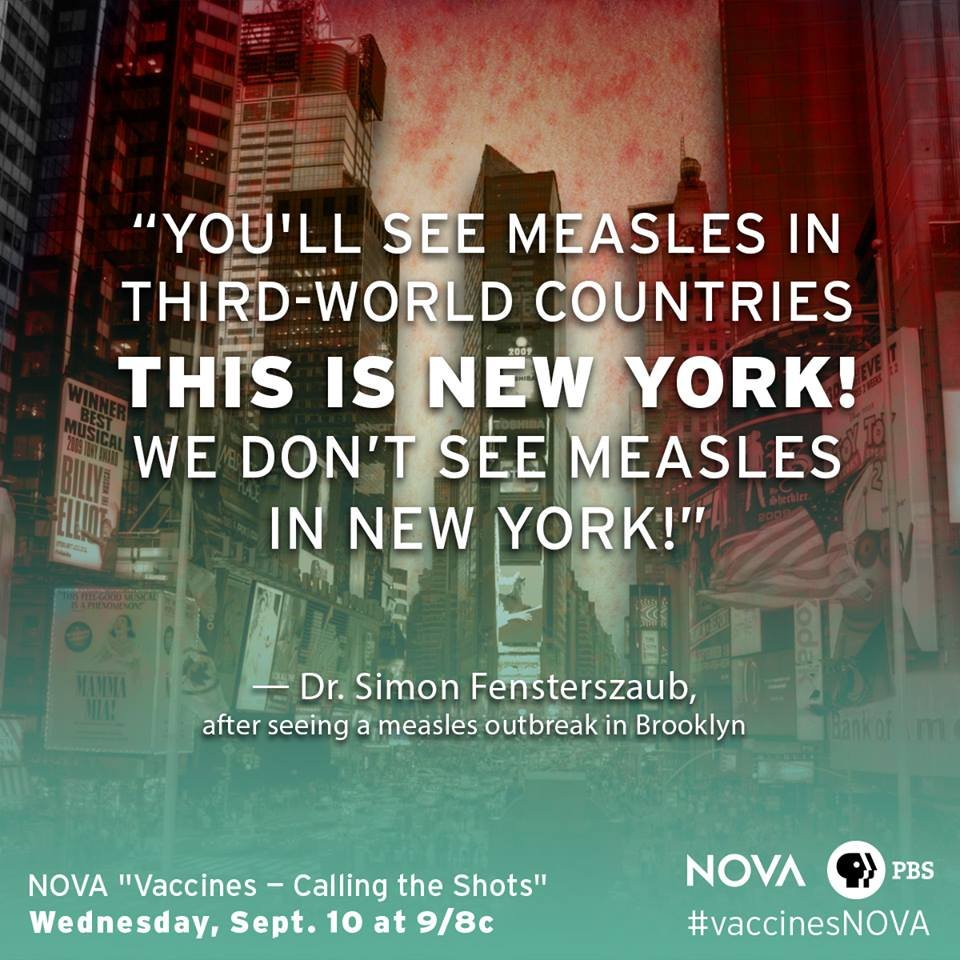 Preview  Discussion  Nova Vaccines  Calling The Shots Vaccinesnova Or Vaccines Calling The Shots Worksheet