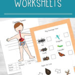 Printable Science Worksheets For Kids Within Science Worksheets For Kids