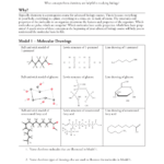 Printables Of Biochemistry Basics Pogil Worksheet Answers Regarding Biochemistry Basics Worksheet Answers