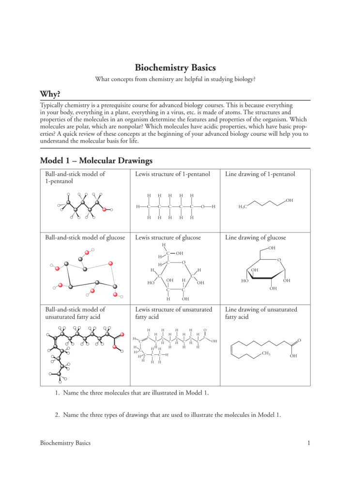 biochemistry-basics-worksheet-answers-excelguider
