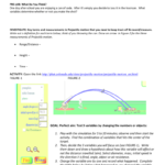 Projectile Motion  Energy In Projectile Motion Simulation Worksheet Answer Key