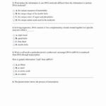 Protein Structure Pogil Worksheet Answers  Briefencounters Inside Biochemistry Basics Worksheet Answers