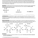 Protein Structure Pogil Worksheet Answers  Briefencounters With Regard To Control Of Gene Expression In Prokaryotes Pogil Worksheet Answers