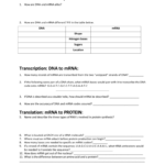 Protein Synthesis Review Worksheet Transcription Dna To Mrna Inside Dna Protein Synthesis Review Worksheet