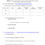 Protein Synthesis Webquest Or Protein Synthesis Worksheet Answer Key Part A