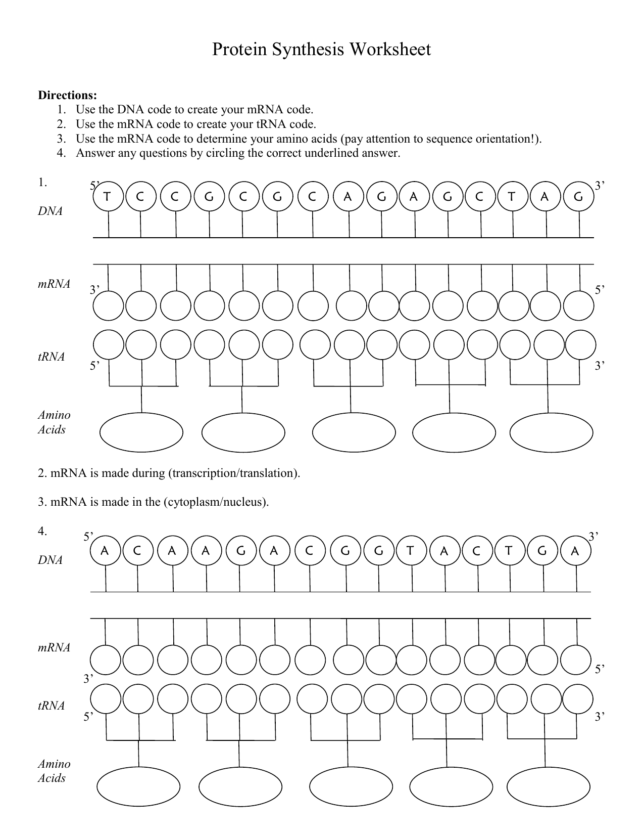 Protein Synthesis Worksheet And Protein Synthesis Worksheet Answers