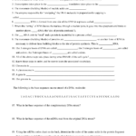 Protein Synthesis Worksheet Answer Key  Newatvs For Dna Amp Protein Synthesis Worksheet Answers