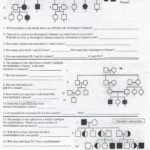 Punnett Square Worksheet 1 Answer Key  Briefencounters And Genetics Worksheet Middle School