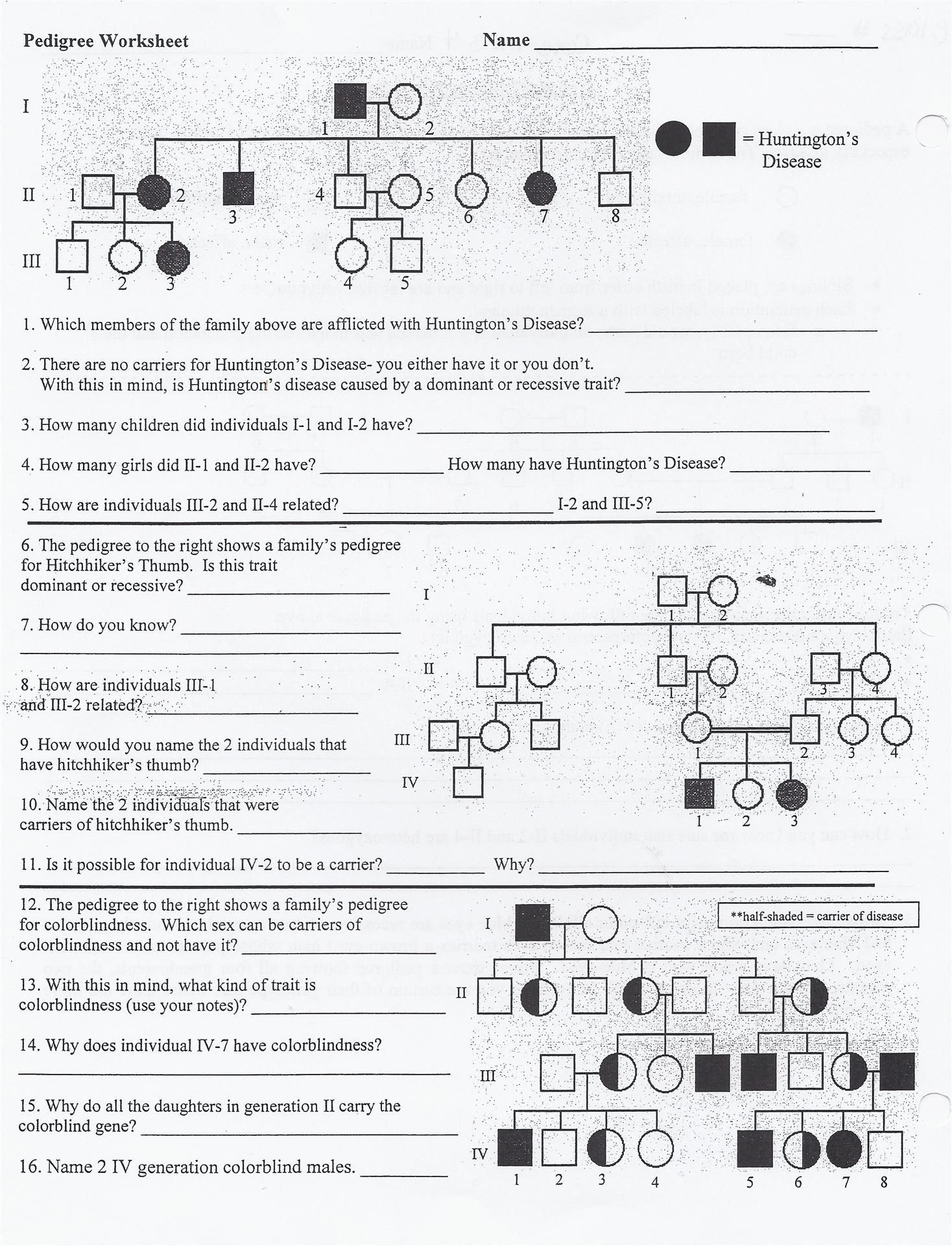 Punnett Square Worksheet 1 Answer Key  Briefencounters And Genetics Worksheet Middle School