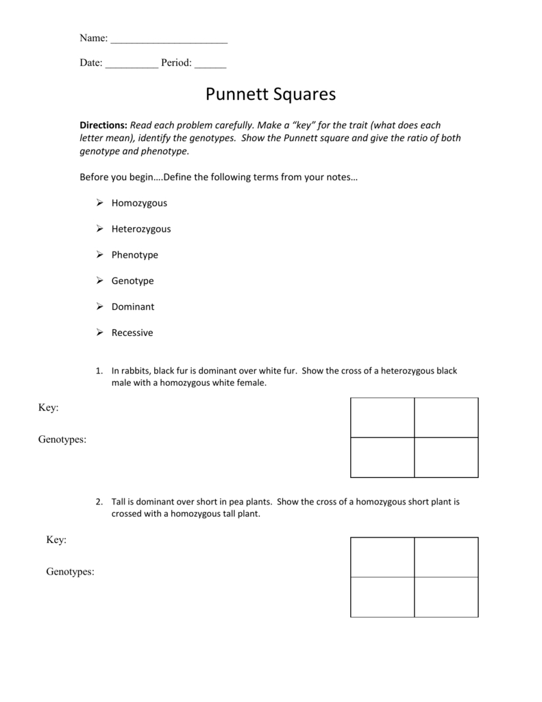 Punnett Square Worksheet 1 For Punnett Square Worksheet 1 Answer Key