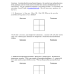 Punnett Square Worksheet Together With Punnett Square Worksheet 1 Answer Key
