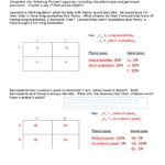 Punnett Square Worksheet – Wiring Diagram Within Punnett Square Worksheet 1 Answer Key