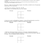 Punnett Square Worksheethuman Characteristics For Genetic Crosses Worksheet