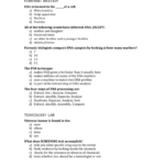 Quiz 1 Together With Csi Web Adventures Case 1 Worksheet Answer Key
