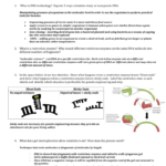 Quiz Prep Chp 13 – Frontiers Of Genetics As Well As Restriction Enzyme Worksheet