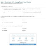 Quiz  Worksheet  10 Energy Rule In Food Chains  Study Or Food Chain Worksheet Answers