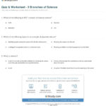 Quiz  Worksheet  3 Branches Of Science  Study For Earth Science Worksheets High School