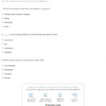 Quiz  Worksheet  Act Science Vocabulary  Study For Heat Transfer Vocabulary Worksheet