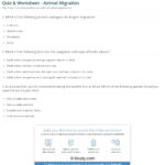 Quiz  Worksheet  Animal Migration  Study In Animal Migration Super Teacher Worksheets