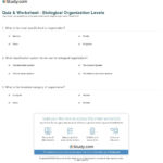 Quiz  Worksheet  Biological Organization Levels  Study And Levels Of Biological Organization Worksheet