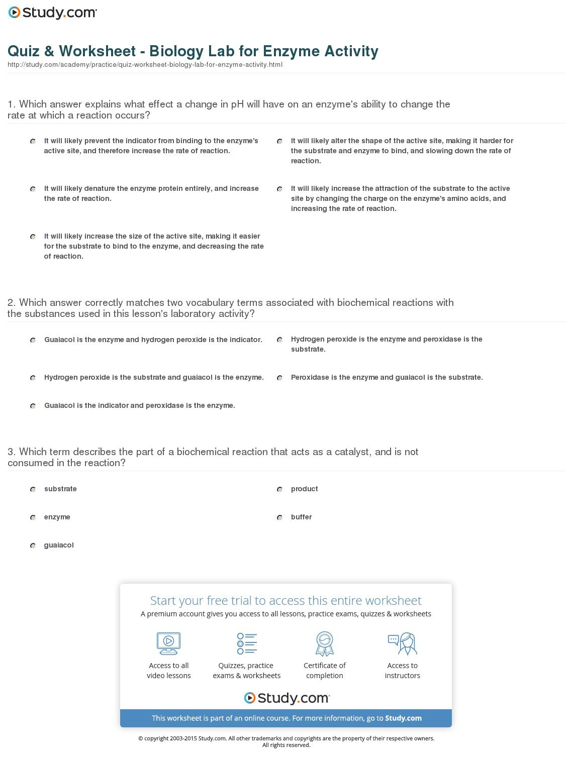 Quiz  Worksheet  Biology Lab For Enzyme Activity  Study Along With Biology Enzymes Worksheet Answers