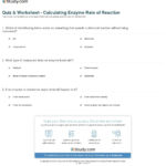 Quiz  Worksheet  Calculating Enzyme Rate Of Reaction  Study Within Enzyme Reactions Worksheet