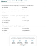 Quiz  Worksheet  Carbohydrate Digestion And Absorption  Study With Digestive System Worksheet Pdf