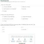 Quiz  Worksheet  Characteristics  Disorders Of X Chromosomes For Genetics X Linked Genes Worksheet