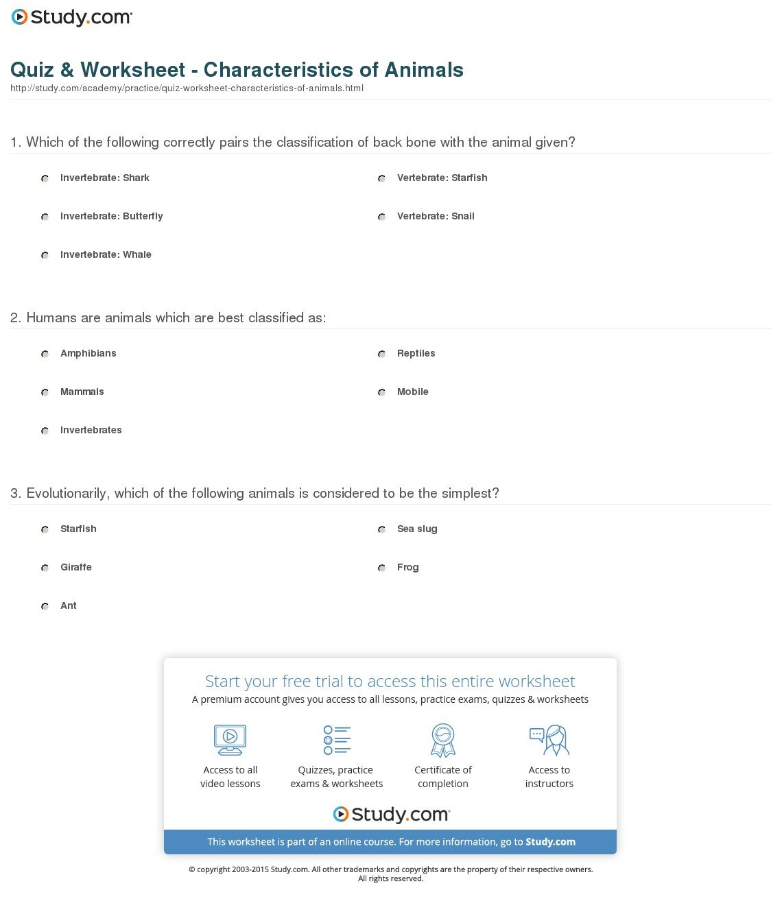 Quiz  Worksheet  Characteristics Of Animals  Study Along With Animal Classification Worksheet Pdf