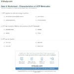 Quiz  Worksheet  Characteristics Of Atp Molecules  Study Or Atp Worksheet Answers