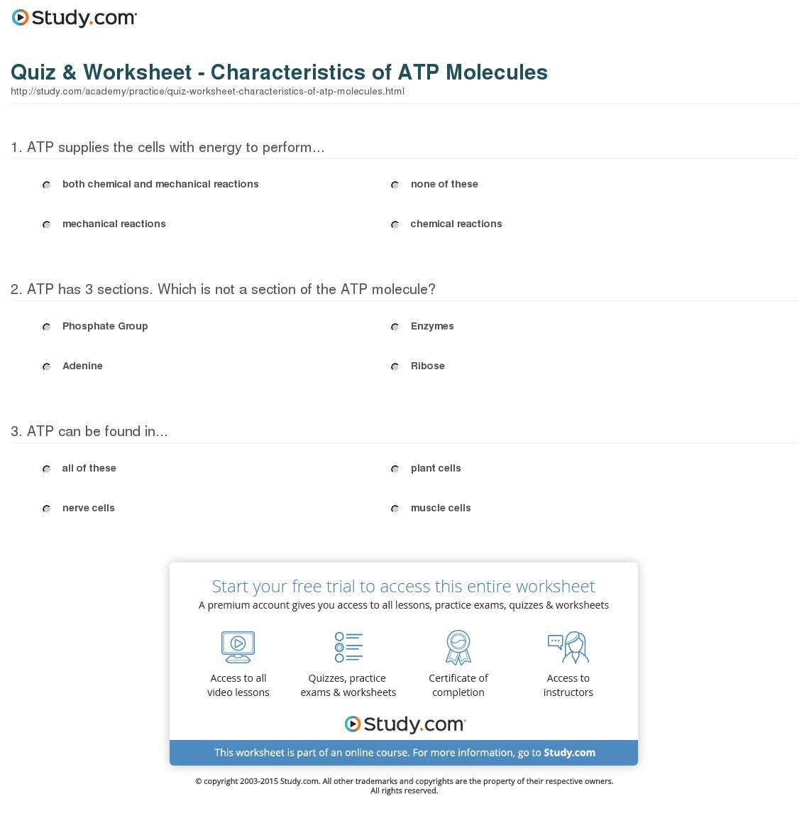 Quiz  Worksheet  Characteristics Of Atp Molecules  Study Or Atp Worksheet Answers
