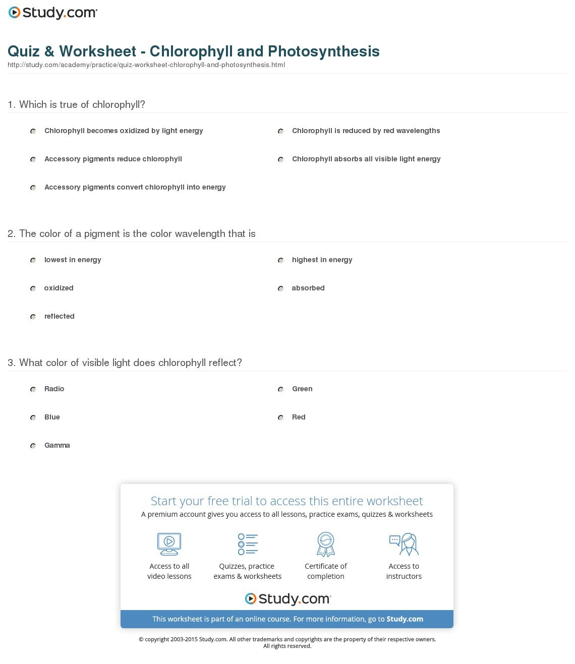 Quiz  Worksheet  Chlorophyll And Photosynthesis  Study As Well As The Absorption Of Chlorophyll Worksheet Answers