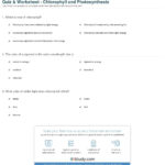 Quiz  Worksheet  Chlorophyll And Photosynthesis  Study In The Absorption Of Light By Photosynthetic Pigments Worksheet Answers