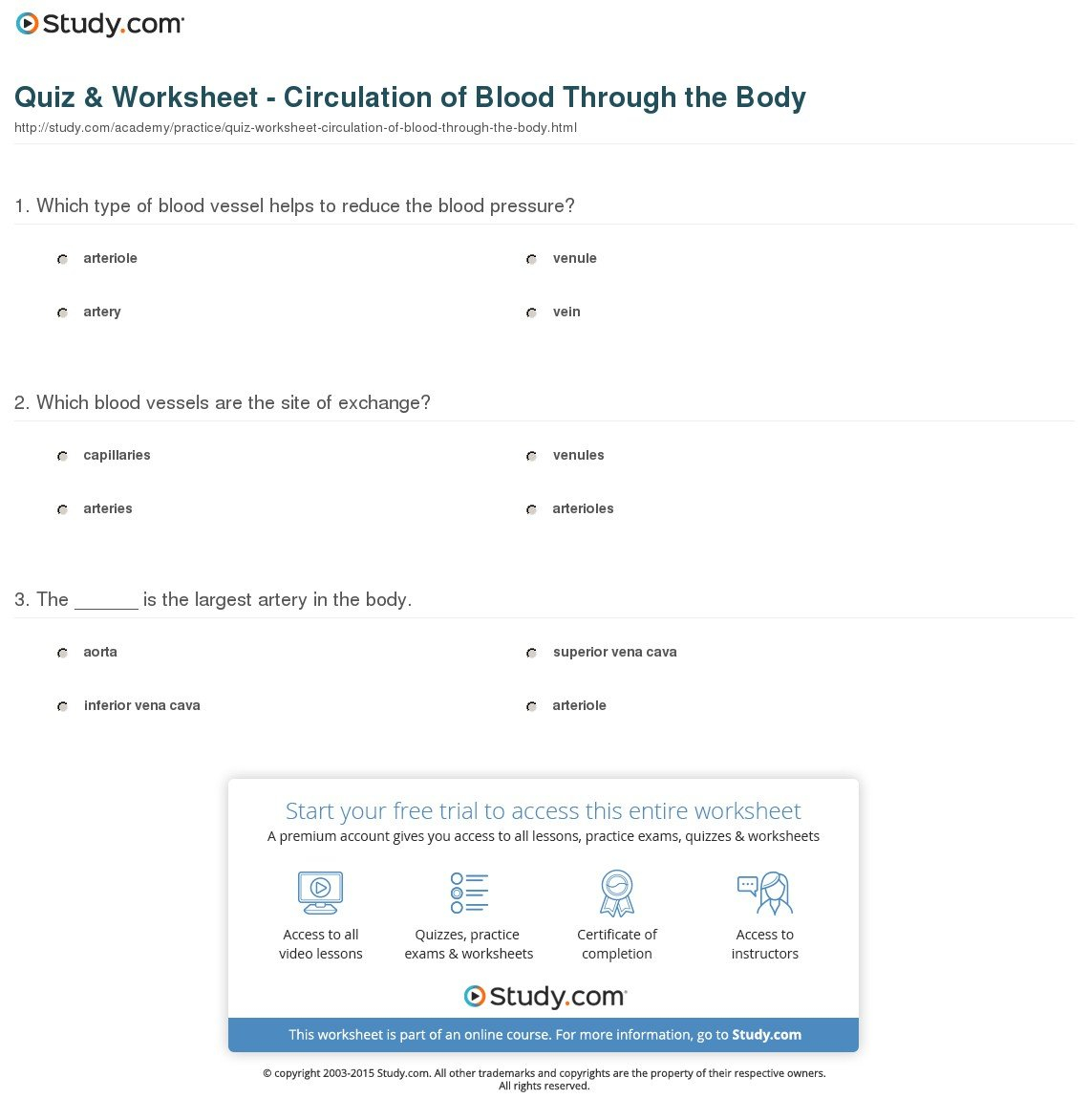 Quiz  Worksheet  Circulation Of Blood Through The Body  Study For Blood Flow Worksheet Answer Key