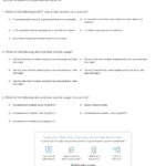 Quiz  Worksheet  Commas  Study Within Comma Practice Worksheet
