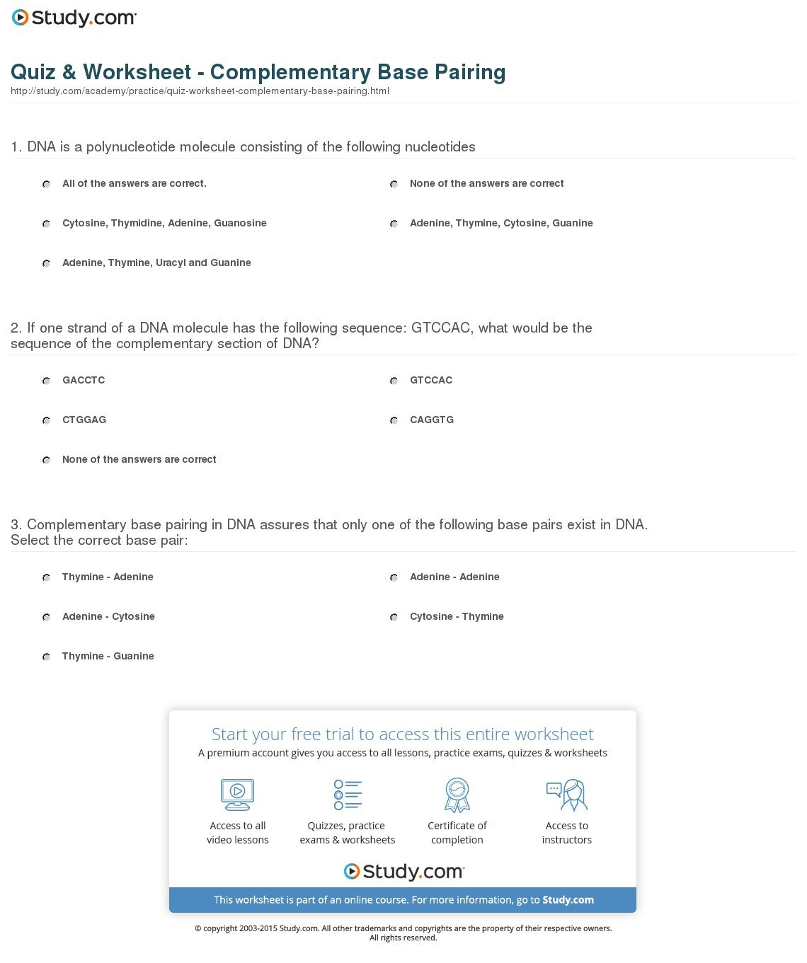Quiz  Worksheet  Complementary Base Pairing  Study Intended For Dna Base Pairing Worksheet Answers