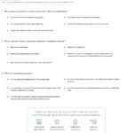 Quiz  Worksheet  Developing A Business Mission Statement  Study In Family Mission Statement Worksheet