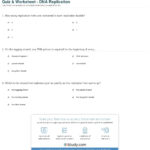 Quiz  Worksheet  Dna Replication  Study For Dna Replication Worksheet