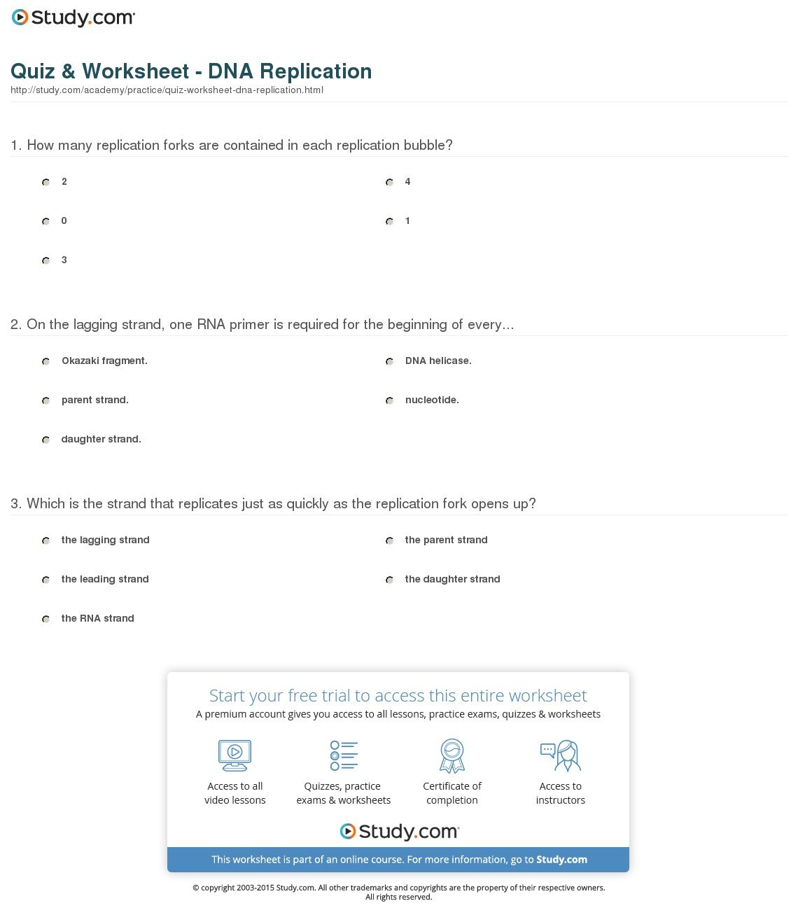 Quiz  Worksheet  Dna Replication  Study For Dna Replication Worksheet Key