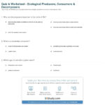 Quiz  Worksheet  Ecological Producers Consumers  Decomposers Also Producer Consumer Decomposer Worksheet