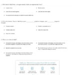 Quiz  Worksheet  Electric Field  Moving Charges  Study With Regard To Charge And Electricity Worksheet Answers