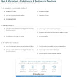 Quiz  Worksheet  Endothermic  Exothermic Reactions  Study Regarding Endothermic And Exothermic Reaction Worksheet Answers