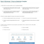Quiz  Worksheet  Enzymesubstrate Complex  Study Inside Enzyme Practice Worksheet