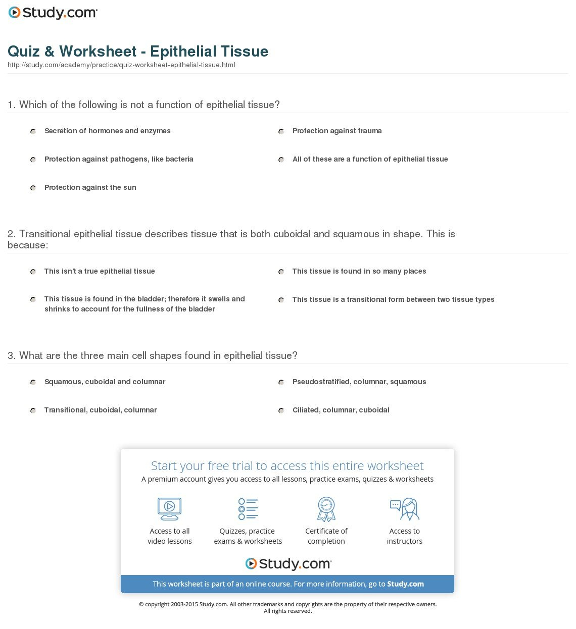 Quiz  Worksheet  Epithelial Tissue  Study Throughout Tissue Worksheet Anatomy Answers