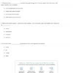 Quiz  Worksheet  Food Chain Facts For Kids  Study Regarding Food Chains And Food Webs Skills Worksheet Answers