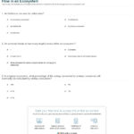Quiz  Worksheet  Food Chains Trophic Levels  Energy Flow In An Pertaining To Science 10 Worksheet 3 Energy Flow In Ecosystems Answer Key